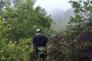 BIB: 
                            <button type="button" onclick="openModal(24735825)" class="btn btn-primary btn-sm float-right btn-popup" data-toggle="modal" data-target=".modal-high-quality">
                        <i class="fas fa-shopping-cart"></i> Add to Cart
                    </button>
                                            <button type="button" onclick="isThisMe(24735825, true)" class="btn btn-success btn-sm float-right btn-popup btn-isme hidden" data-toggle="tooltip" data-placement="bottom" title="นี่คือรูปของคุณใช่ไหม คลิกที่นี่เพื่อเอาเข้าอัลบั้ม">
                        <i class="fas fa-plus"></i> Add to album
                    </button>
                    <button type="button" onclick="isThisMe(24735825, false)" class="btn btn-warning btn-sm float-right btn-popup btn-isnotme hidden">
                        <i class="fas fa-ban"></i> Remove from album
                    </button>